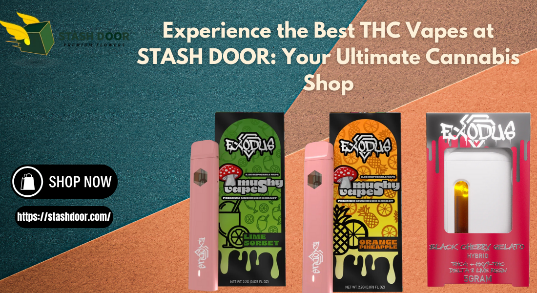 Experience the Best THC Vapes at STASH DOOR: Your Ultimate Cannabis Shop