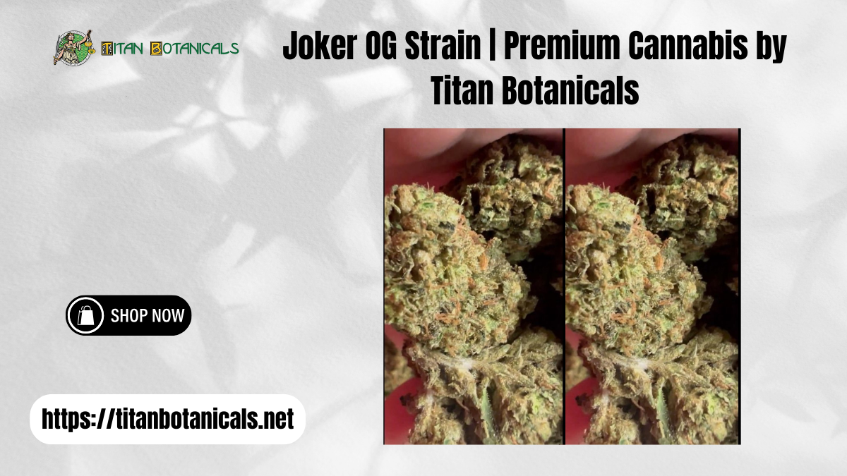 Joker OG Strain | Premium Cannabis by Titan Botanicals