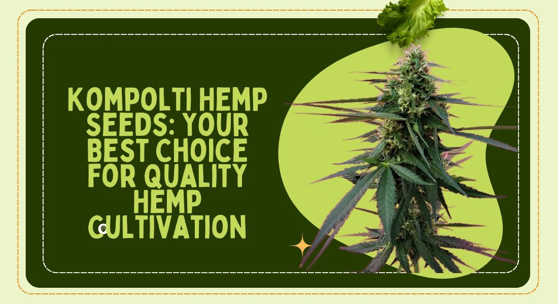 Kompolti Hemp Seeds