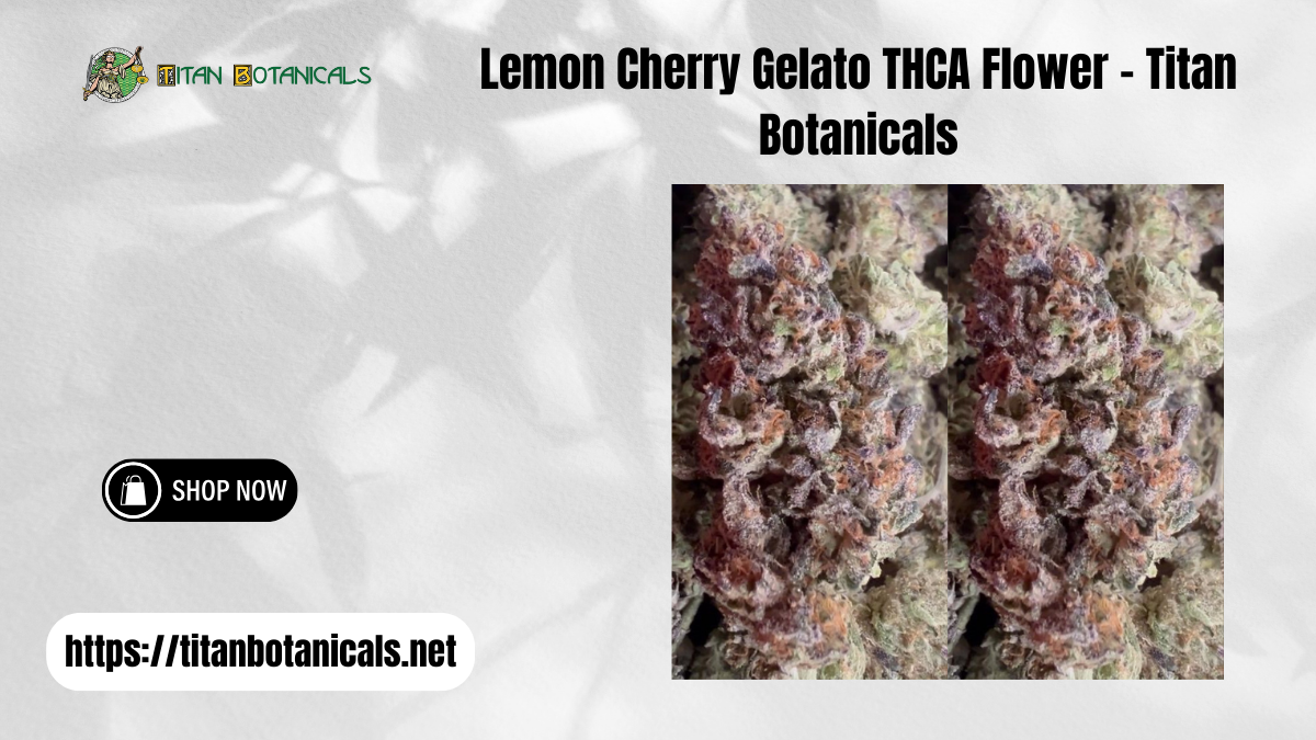 Lemon Cherry Gelato THCA Flower