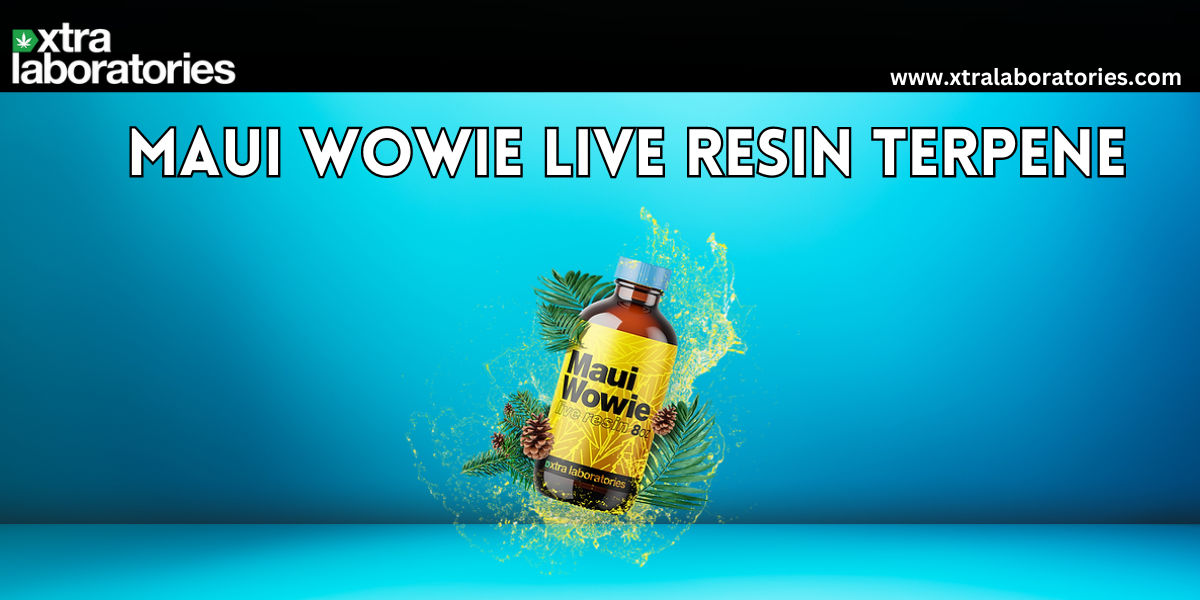 Maui Wowie Live Resin Terpene: Refreshing Pine with Tropical Joy from Xtra Laboratories