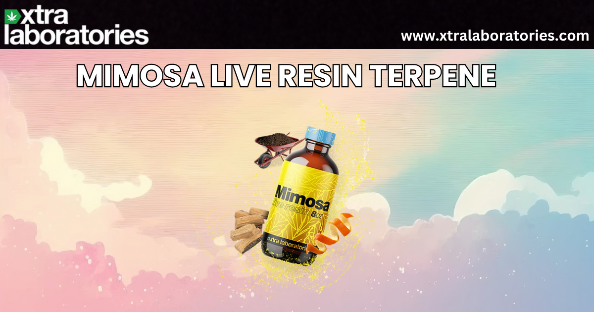 Mimosa Live Resin Terpene