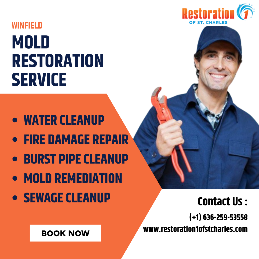 Mold Restoration Service