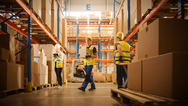 The Role of Transportation Management Systems and Warehouse Management Solutions in the USA