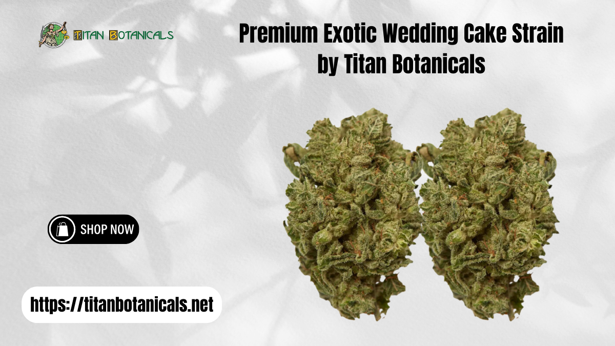 Premium Exotic Wedding Cake Strain by Titan Botanicals