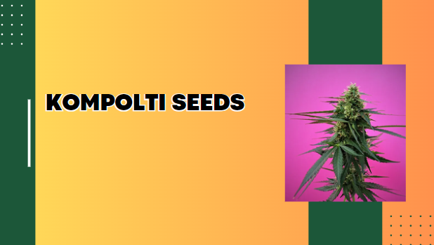 Discover the Best Kompolti Seeds at Eco Trio Labs