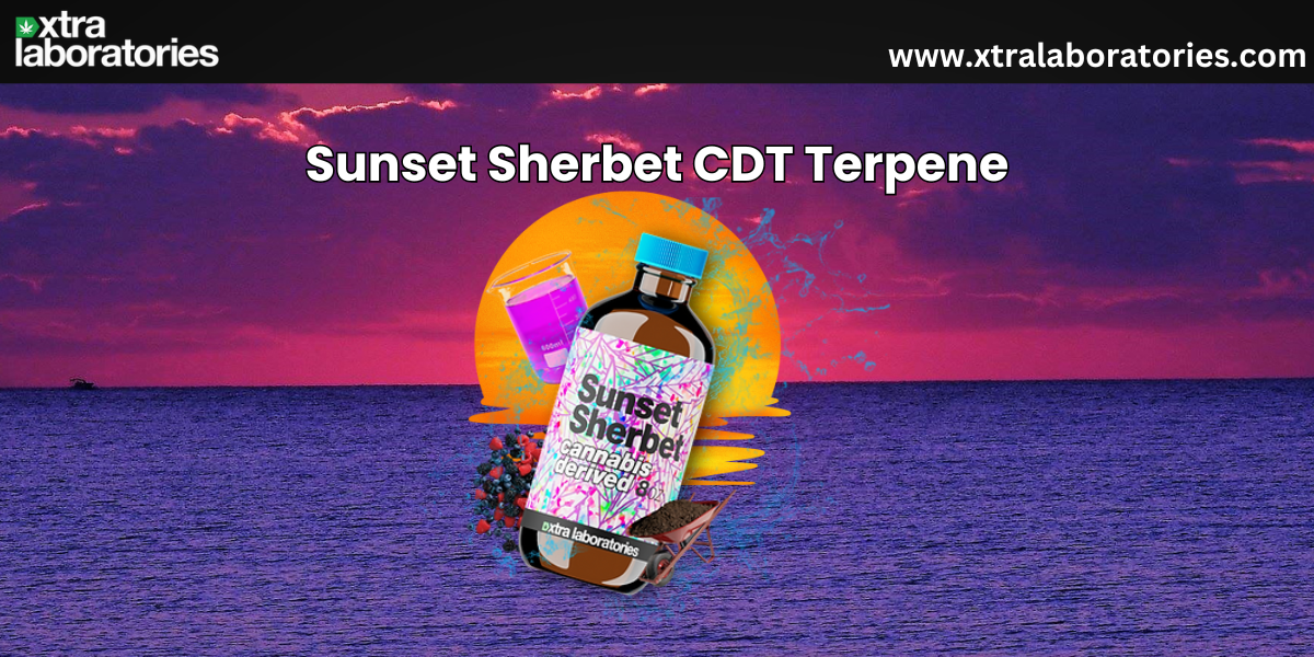 Sunset Sherbet CDT Terpenes: A Sweet and Fruity Blend by Xtra Laboratories