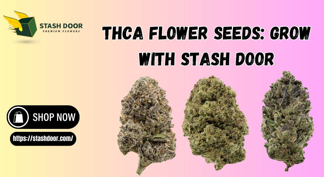 THCa Flower Seeds: Grow with Stash Door