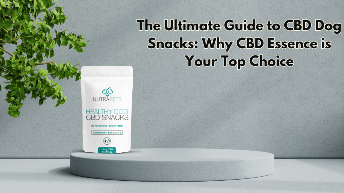 CBD Dog Snacks