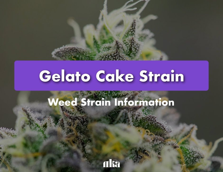 Top 5 Reasons Why Gelato Cake Strain Is Perfect for Evening Relaxation