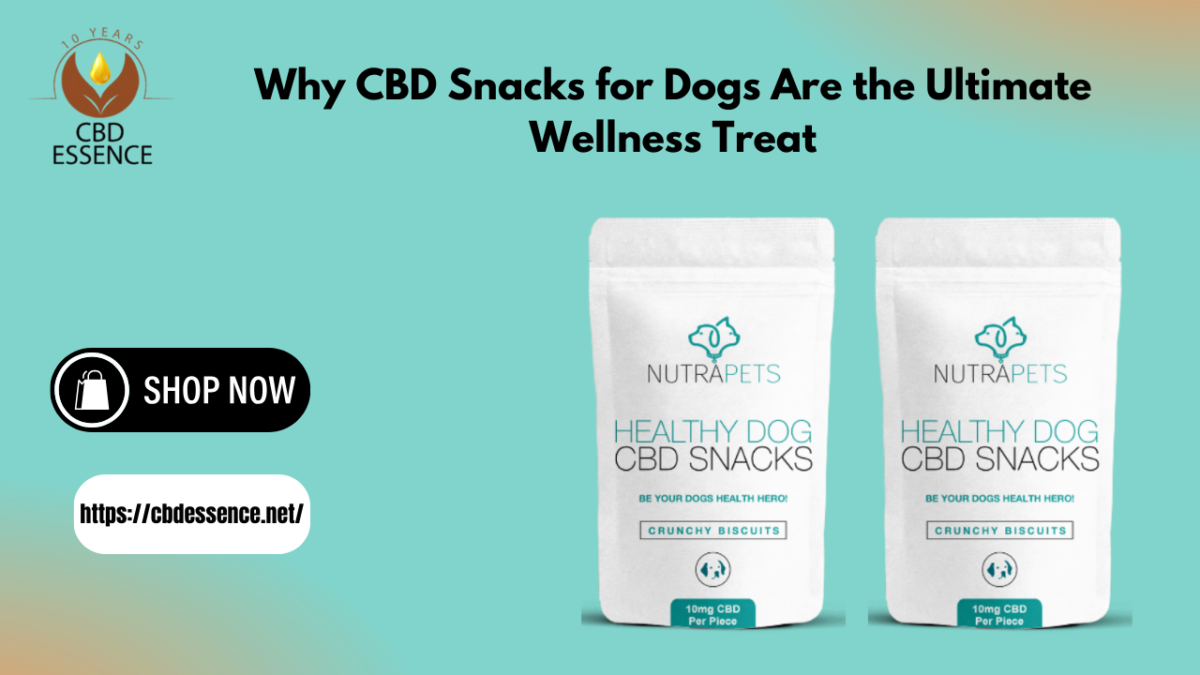 Why CBD Snacks for Dogs Are the Ultimate Wellness Treat