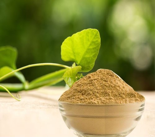 Checklists and Requirements for What Makes Cissus Quadrangularis Extract High Quality?