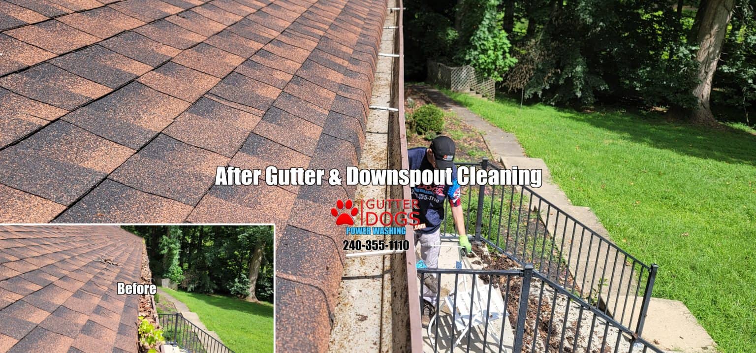 Gutter Cleaning