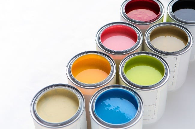 Guide to Setting Up a Paints and Varnishes Manufacturing Plant