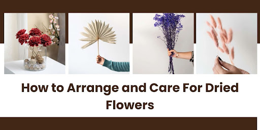 How to Arrange and Care For Dried Flowers