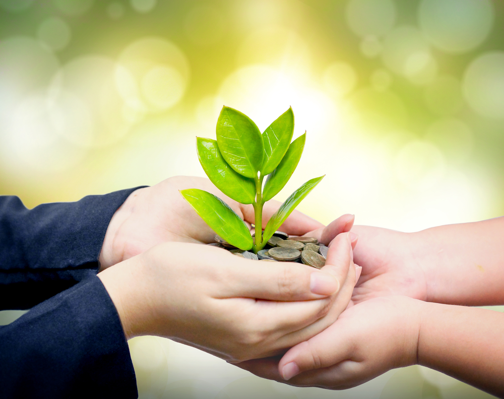 How Do Top Nonprofits Impact Environmental Conservation?