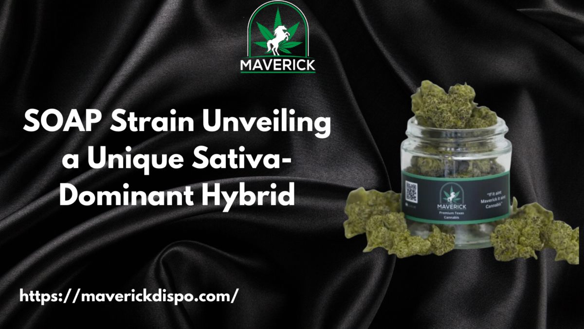 SOAP Strain Unveiling a Unique Sativa-Dominant Hybrid