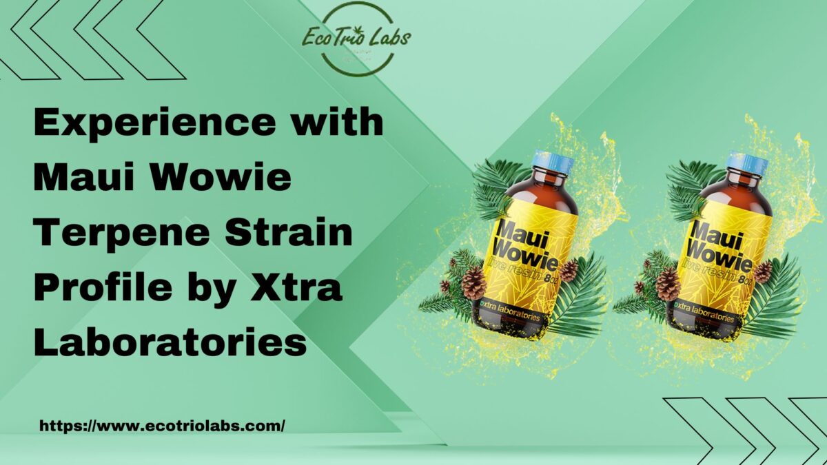 Maui Wowie Terpene Strain Profile