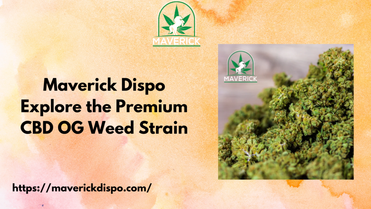 Maverick Dispo Explore the Premium CBD OG Weed Strain