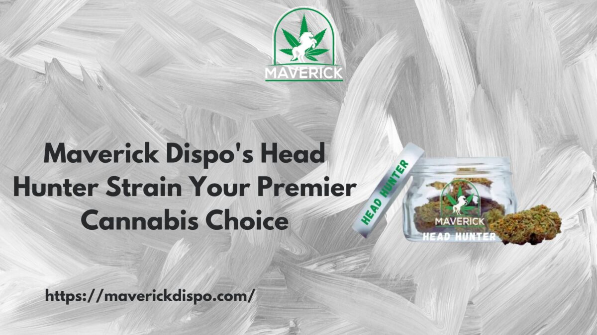 Maverick Dispo’s Head Hunter Strain Your Premier Cannabis Choice