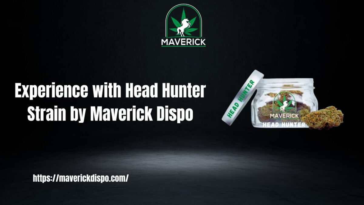 Experience with Head Hunter Strain by Maverick Dispo