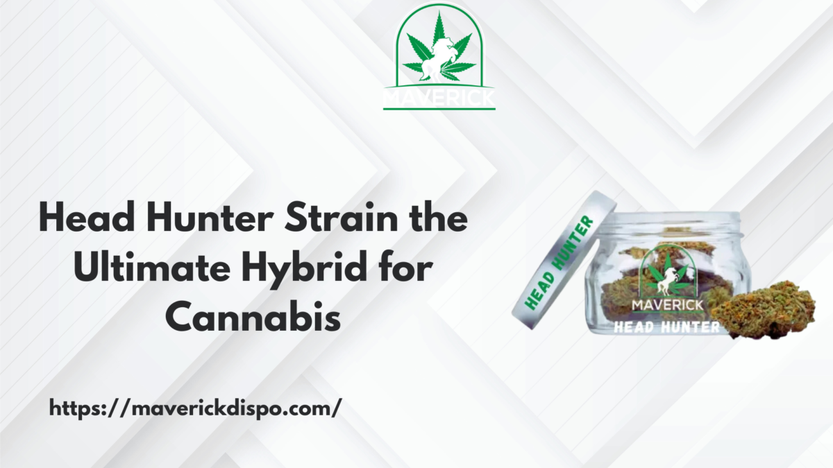 Head Hunter Strain the Ultimate Hybrid for Cannabis