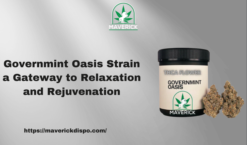 Governmint Oasis Strain a Gateway to Relaxation and Rejuvenation