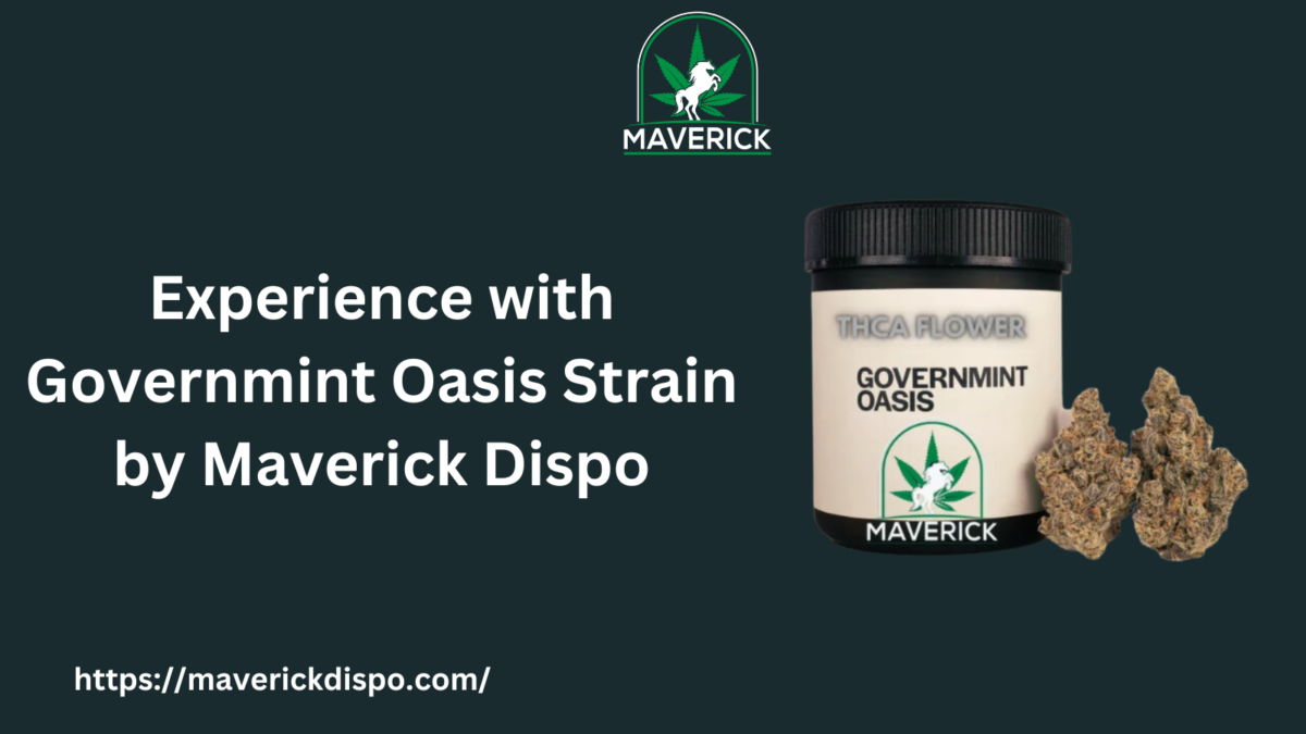 Experience with Govermint Oasis Strain by Maverick Dispo