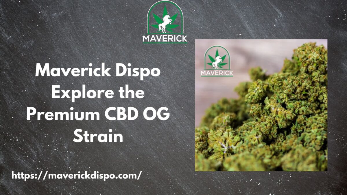 Maverick Dispo Explore the Premium CBD OG Strain