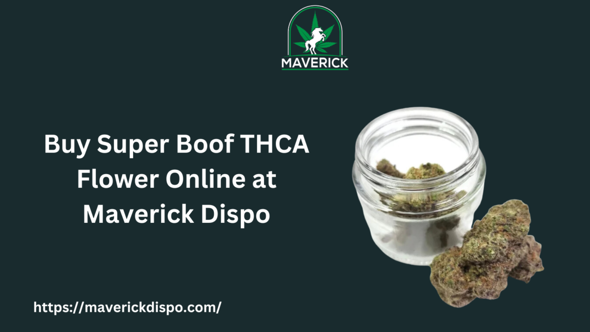 Buy Superboof THCA Flower Online at Maverick Dispo