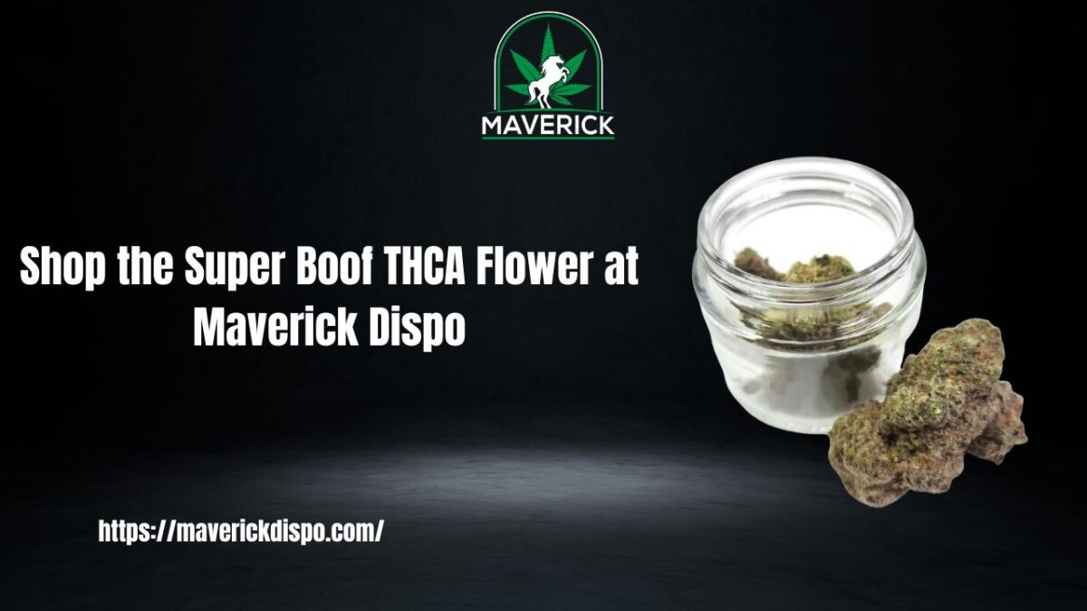 Shop the Super Boof THCA Flower at Maverick Dispo