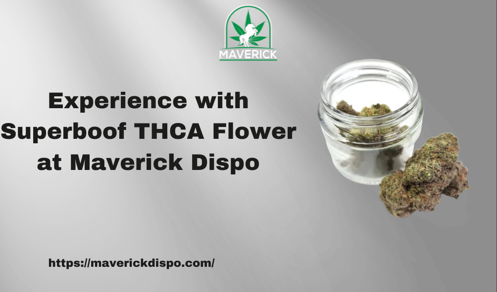 Experience with Superboof THCA Flower at Maverick Dispo