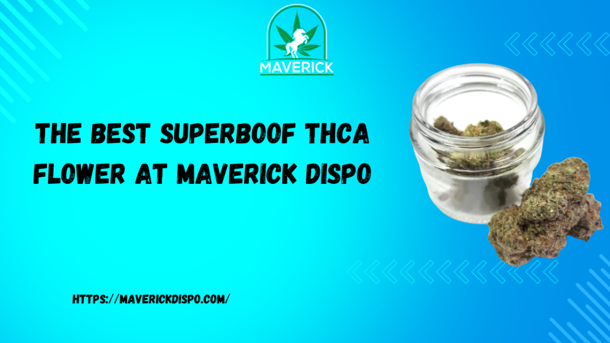 The Best Superboof THCA Flower at Maverick Dispo