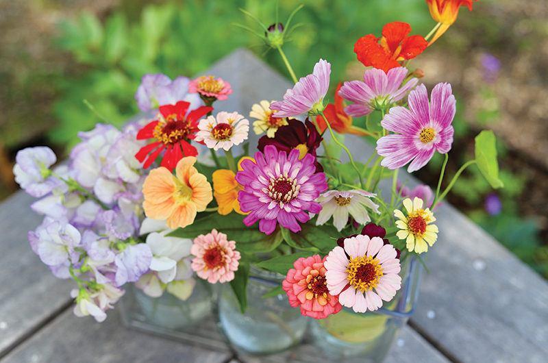 7 Long-Lasting Fresh Flowers for Your Home