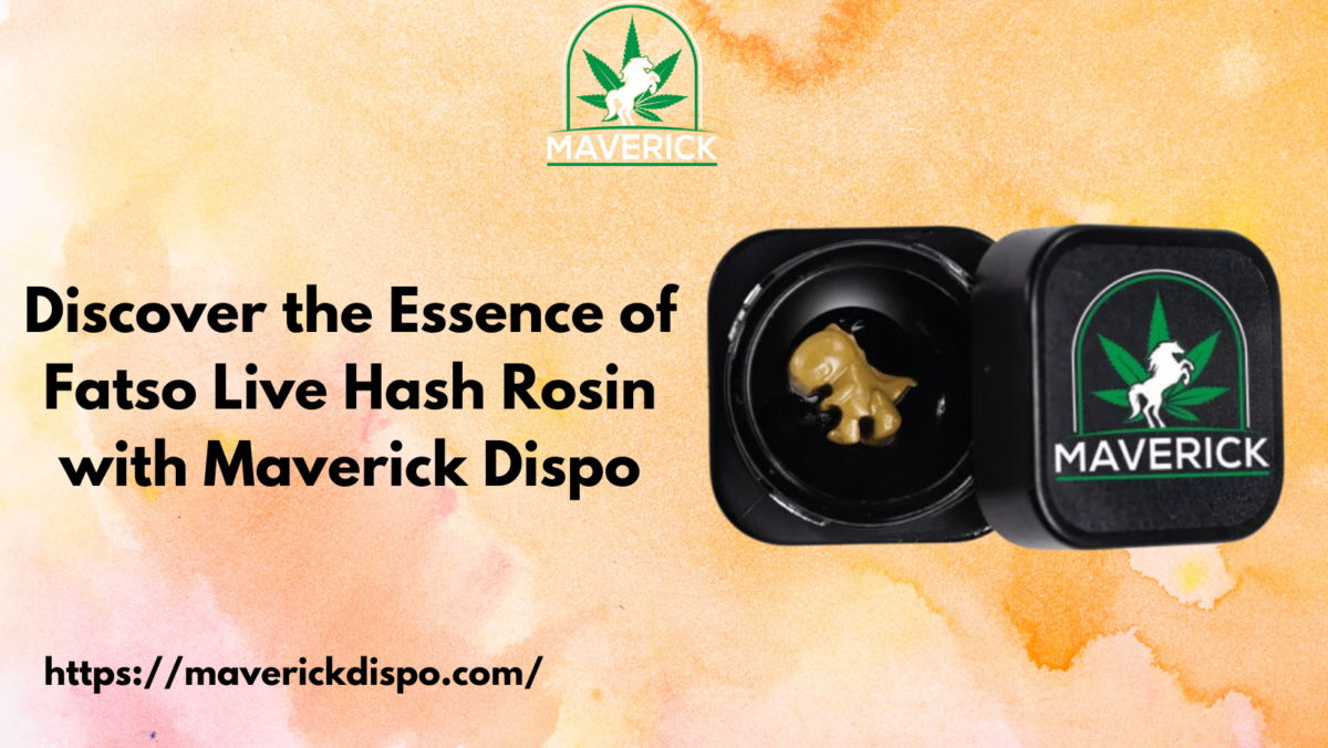 Discover the Essence of Fatso Live Hash Rosin with Maverick Dispo