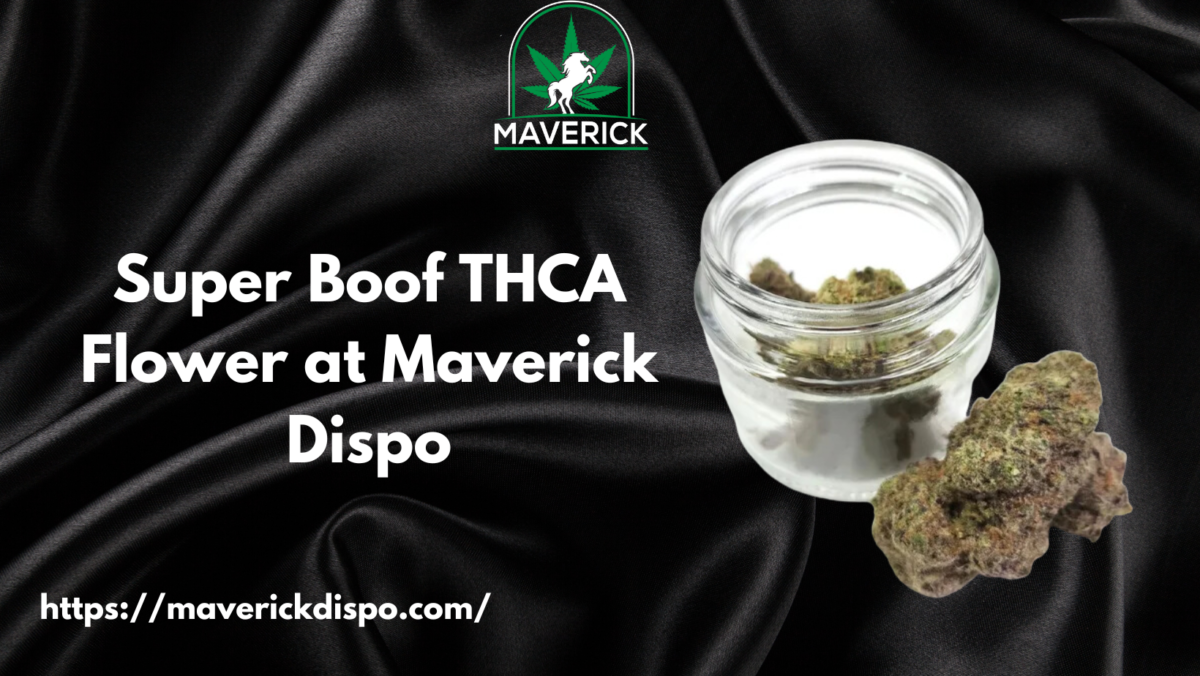 Superboof THCA Flower with Maverick Dispo