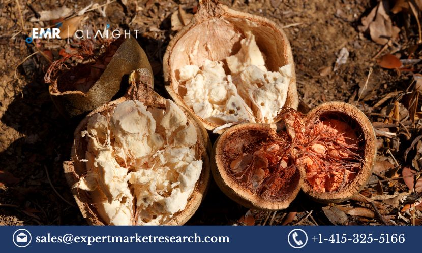 Baobab Ingredient Market Size, Share, Growth and Challenges 2024-2032