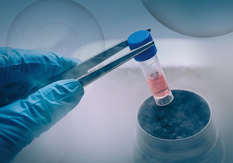 Is Stem Cell Banking Right for Your Family? A Comprehensive Guide To Its Benefits