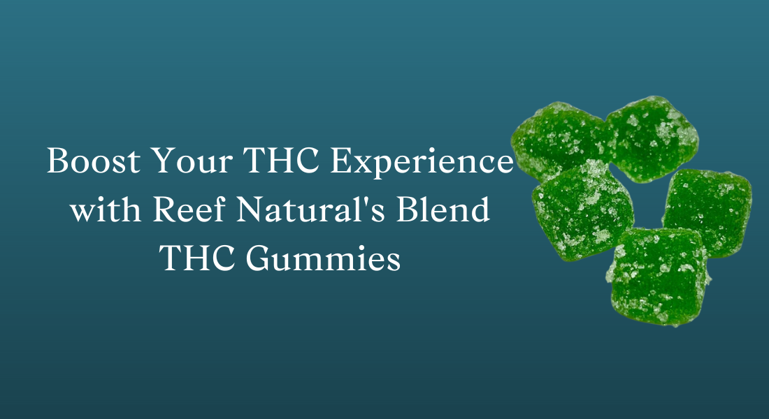 Boost Your THC Experience with Reef Natural’s Blend THC Gummies