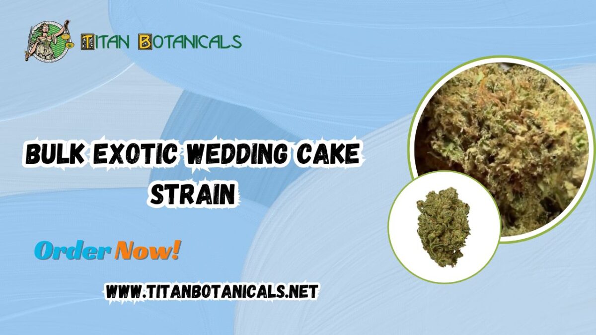 Bulk Exotic Wedding Cake Strain