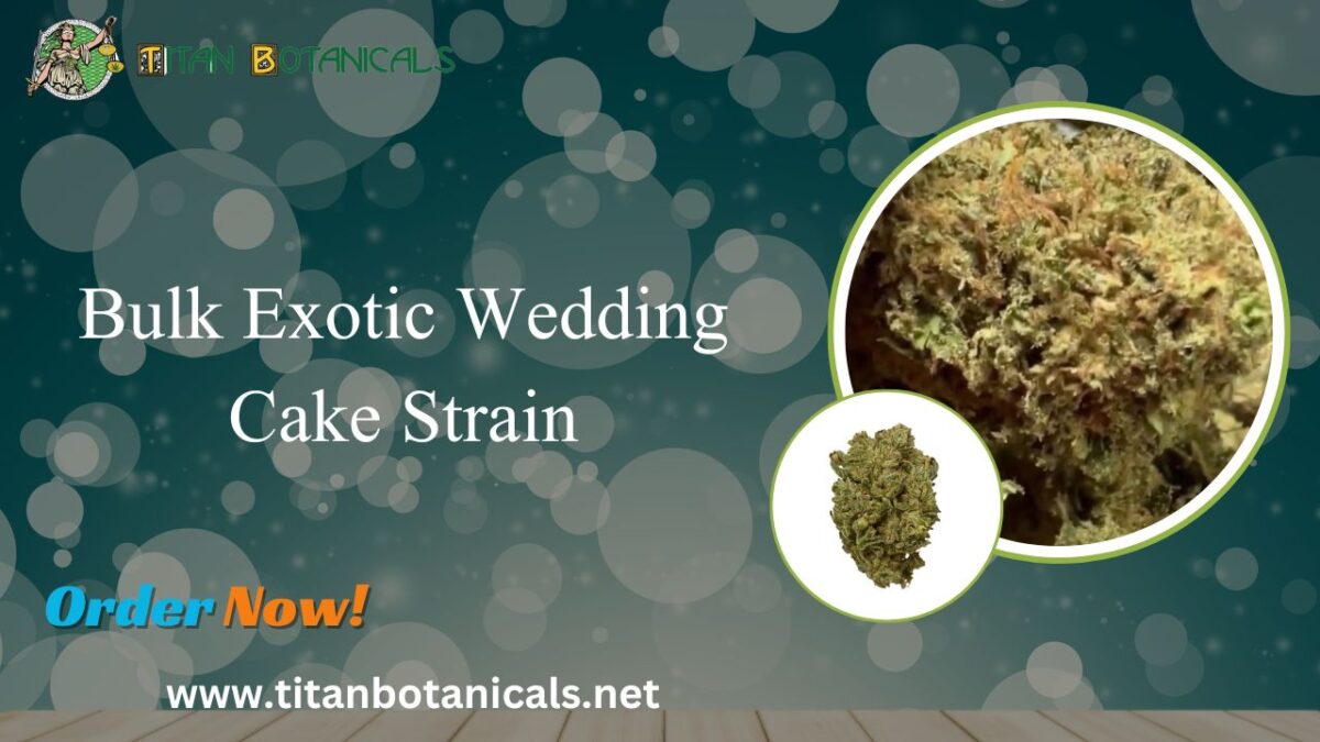 Bulk Exotic Wedding Cake Strain