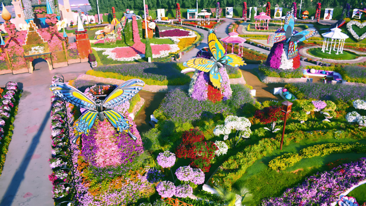 Butterfly Garden Timings: A Visitor’s Guide to Dubai’s Enchanting Attraction