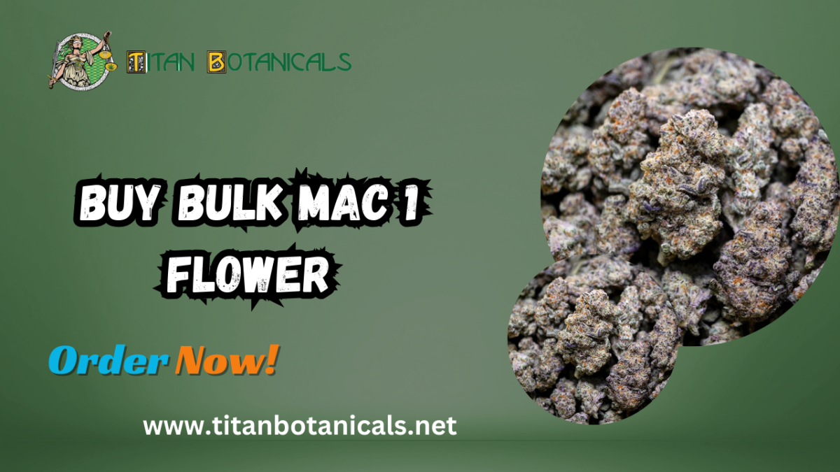 Buy Bulk MAC 1 Flower: The Ultimate Choice for Premium THCA Experience