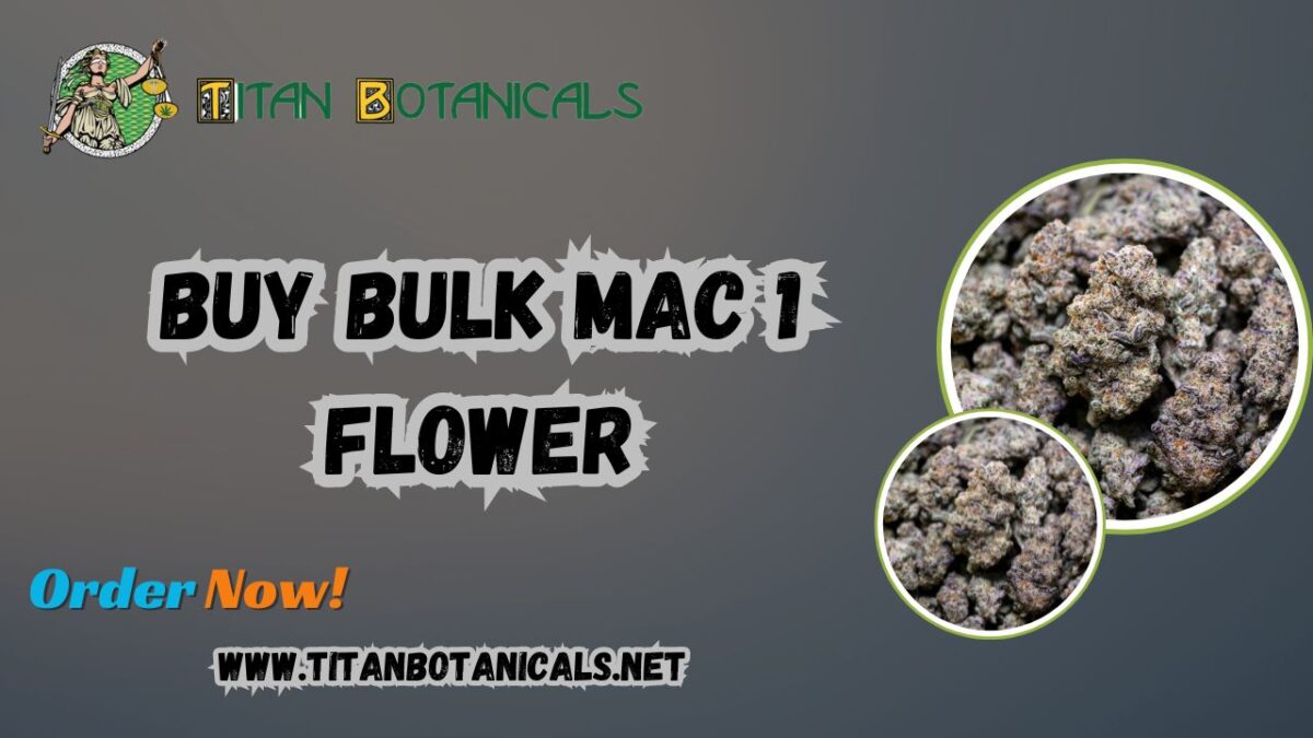 Buy Bulk Mac 1 Flower: Discover the Power of Premium MAC 1 THCA Flower