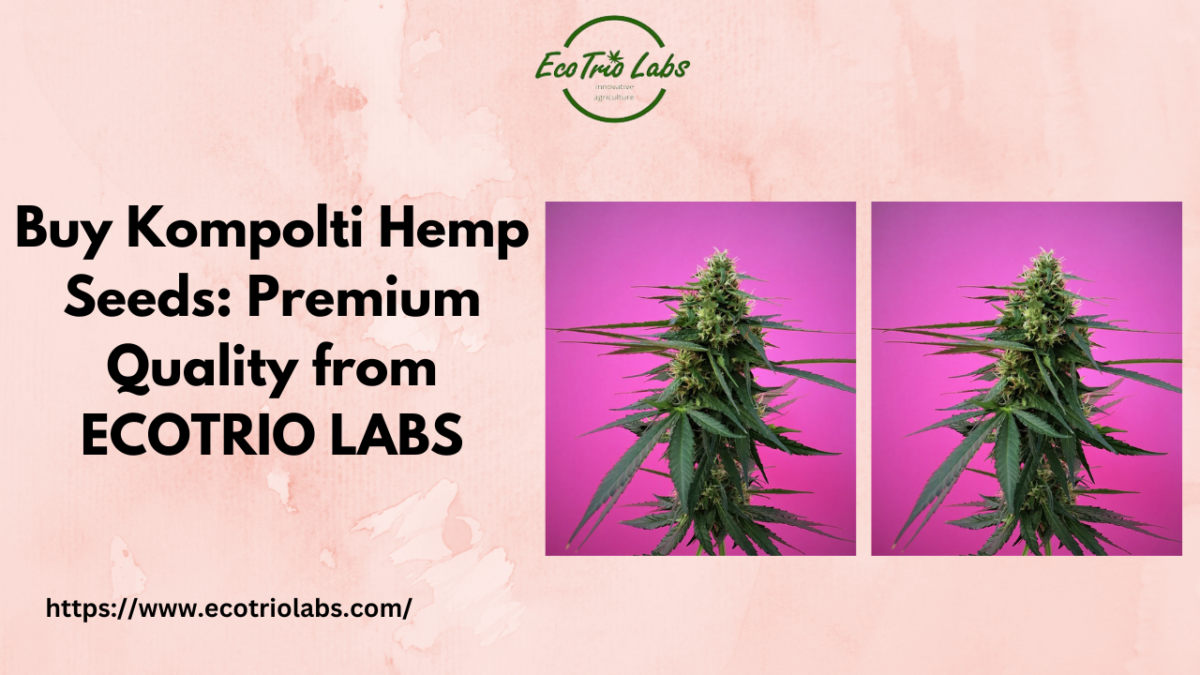 Buy Kompolti Hemp Seeds: Premium Quality from ECOTRIO LABS