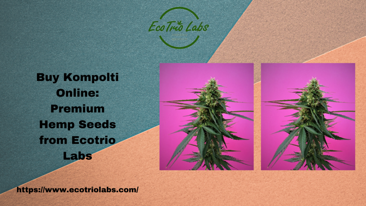 Buy Kompolti Online: Premium Hemp Seeds from Ecotrio Labs