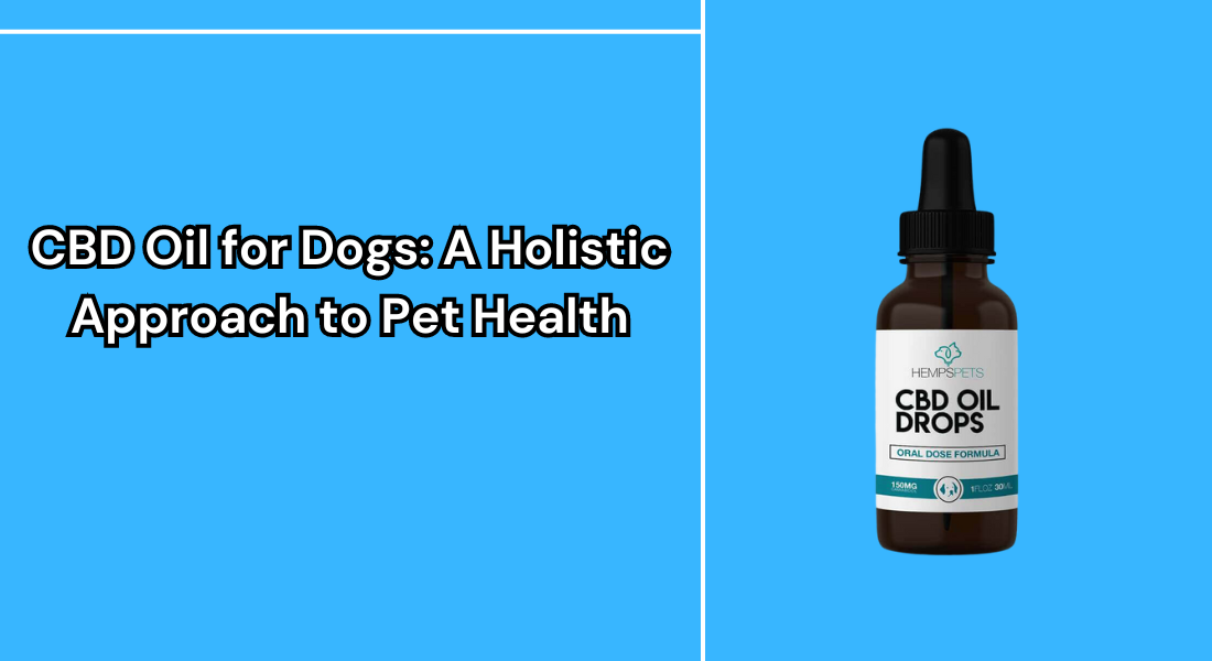 CBD Oil for Dogs: A Holistic Approach to Pet Health