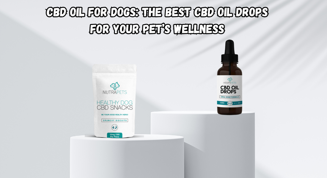 CBD Oil Drops: The Ultimate Guide for You and Your Pets