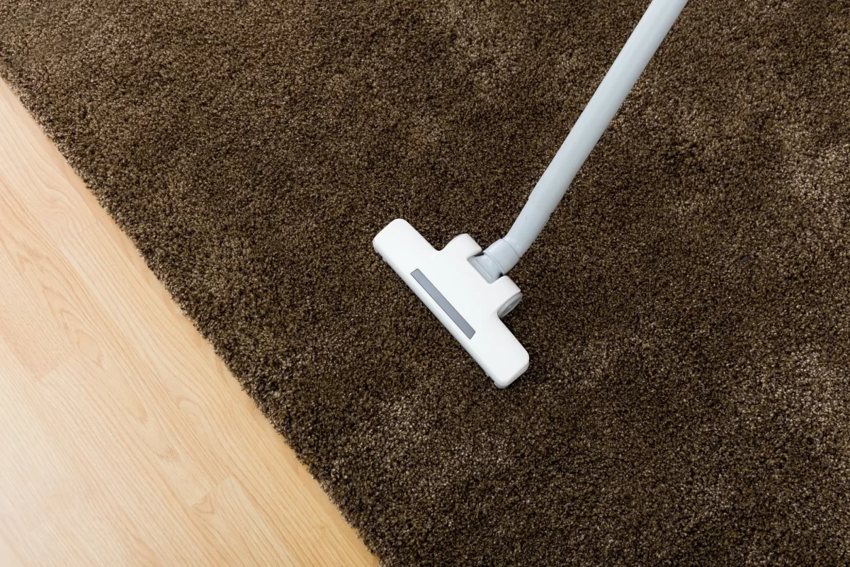 Professional Carpet Cleaning