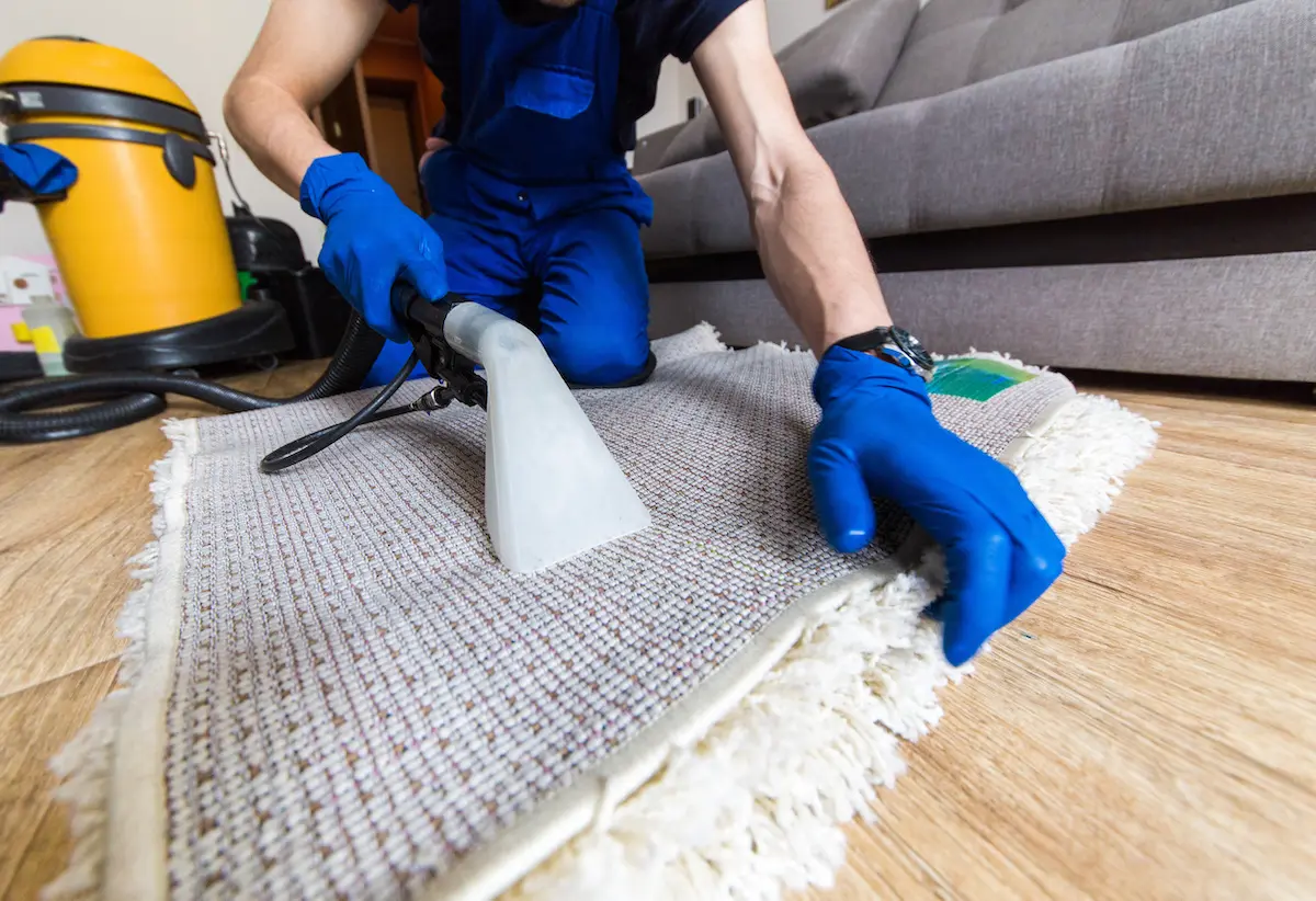 The Complete Guide to Carpet Cleaning | Keeping Your House Fresh and Healthy